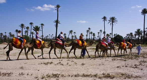 prix balade en dromadaire pas cher  marrakech